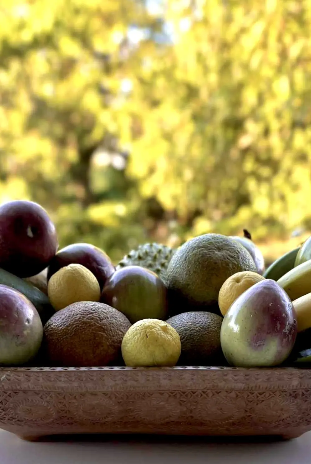 Umete de bois garni de fruits du jardin