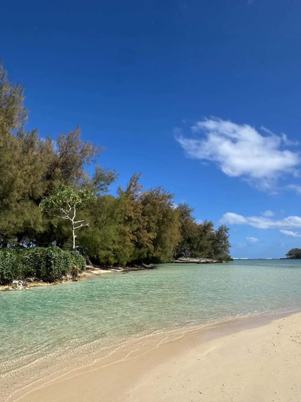 Plage de sable blanc et lagon turquoise à Rimatara